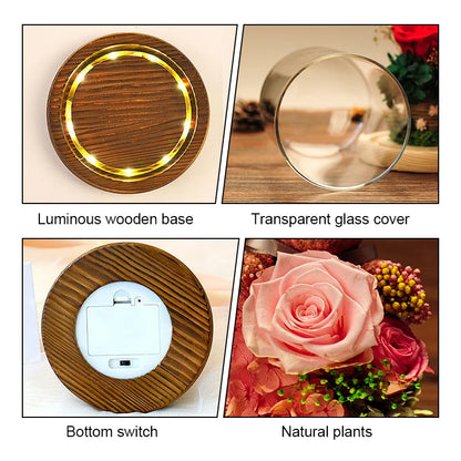 Forever Yours - Eternal Preserved Rose Gift Box with Teddy Bear & LED Lights