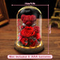 Forever Yours - Eternal Preserved Rose Gift Box with Teddy Bear & LED Lights